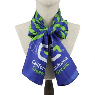 Long Rectangle Scarf